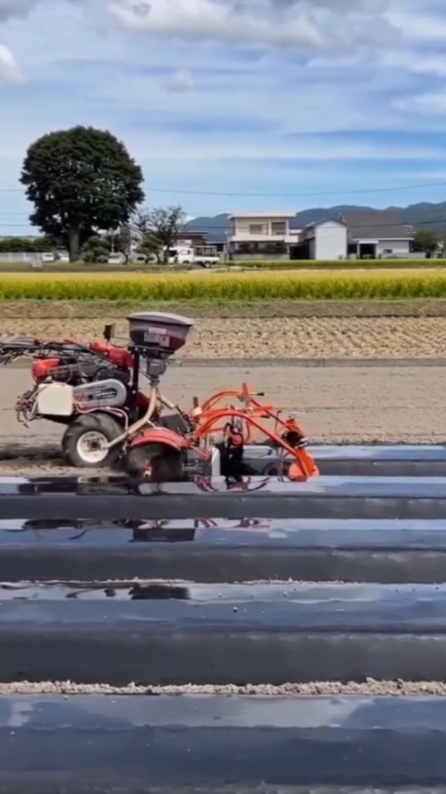discoveragriculture 게시물 이미지: Mulching...