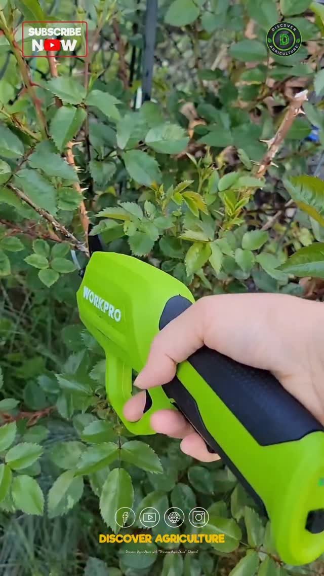 discoveragriculture 게시물 이미지: Introducing the amazing electric pruning tool,...