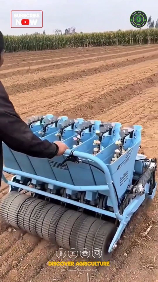 discoveragriculture 게시물 이미지: Introducing the Amazing Garlic Seed Sowing...