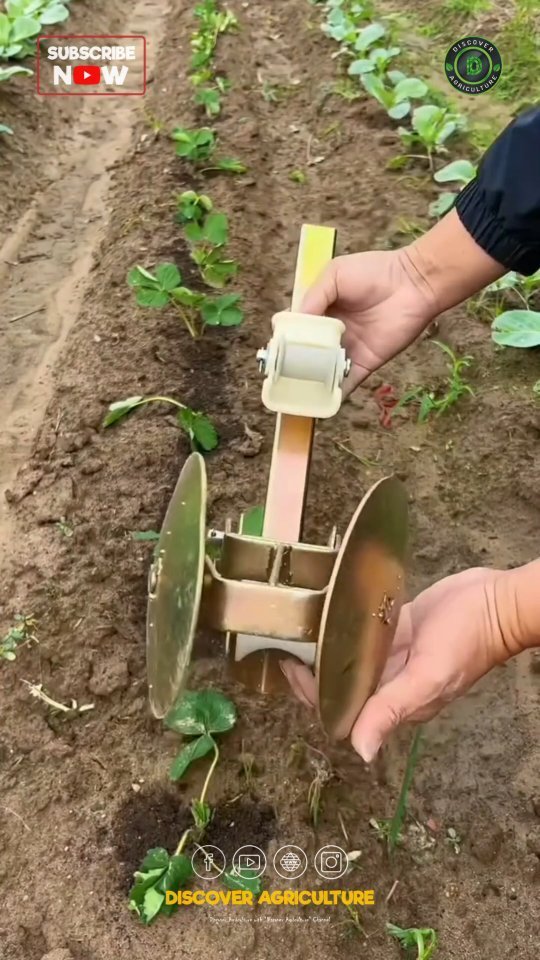 discoveragriculture 게시물 이미지: Introducing the essential manual tool for...