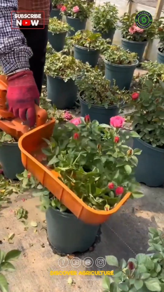 discoveragriculture 게시물 이미지: Introducing the latest innovation in garden...
