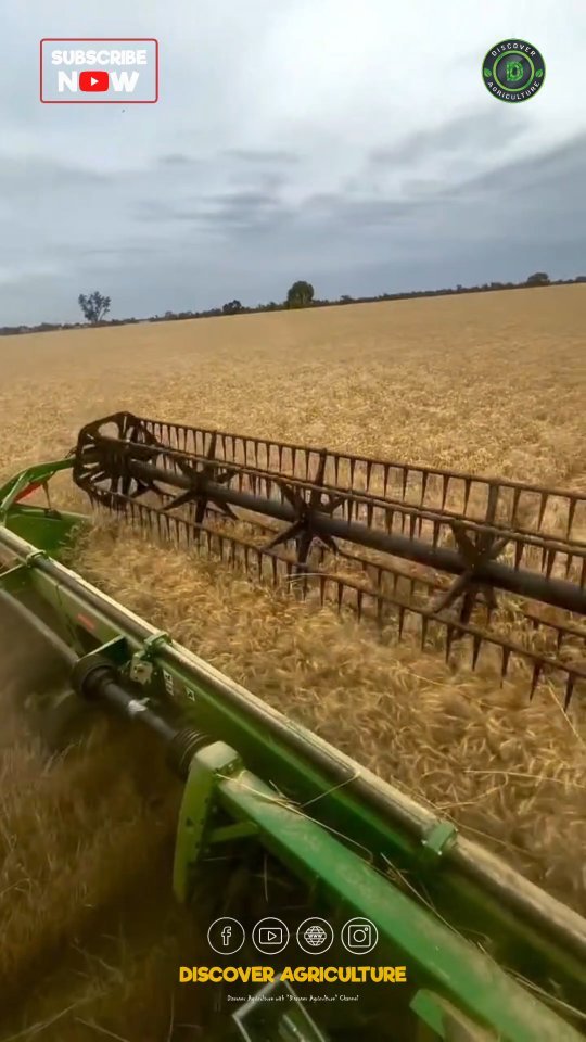 discoveragriculture 게시물 이미지: The amazing giant combine harvester machine...