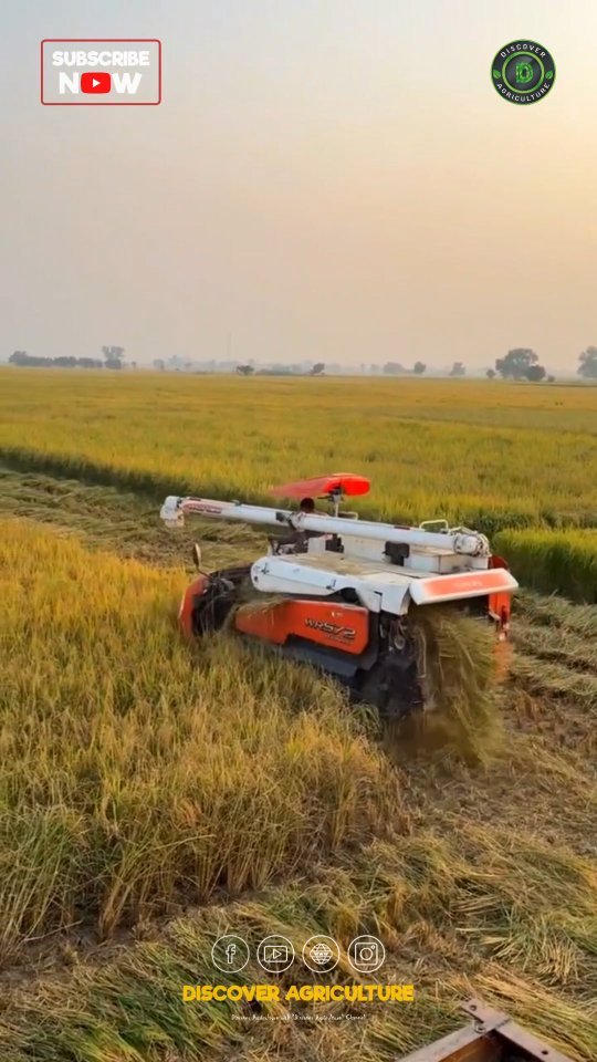 discoveragriculture 게시물 이미지: Discover the incredible advancements in...