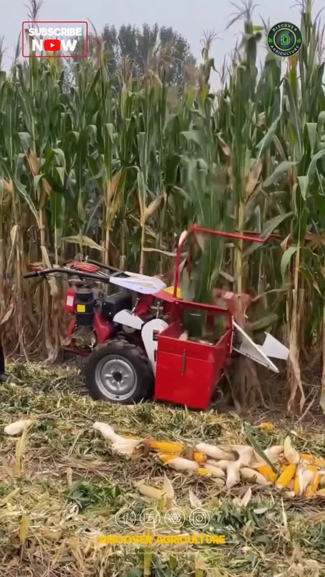 discoveragriculture 게시물 이미지: Introducing an incredible innovation in...