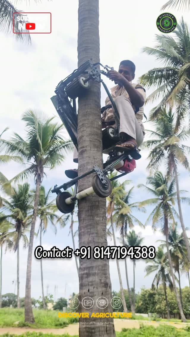 discoveragriculture 게시물 이미지: Experience the innovative Coconut Tree...