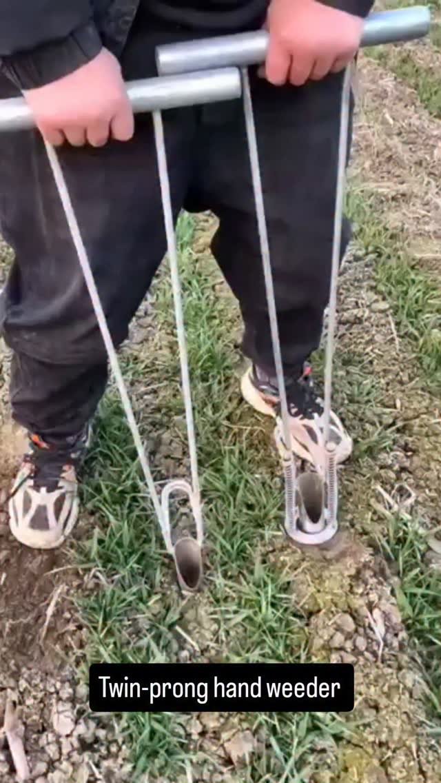 discoveragriculture 게시물 이미지: Manual Hand Weeder in action!
This twin-prong...