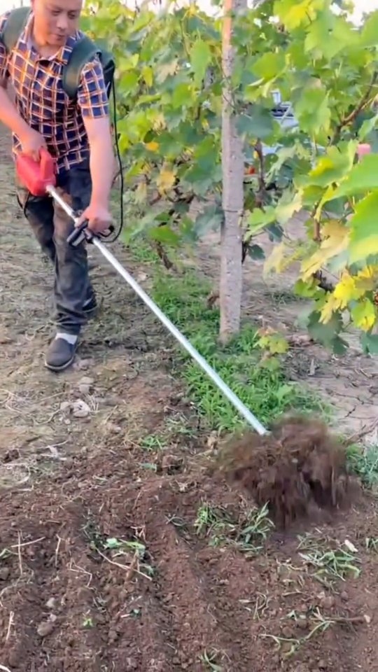 discoveragriculture 게시물 이미지: Introducing the amazing brushcutter weeding...