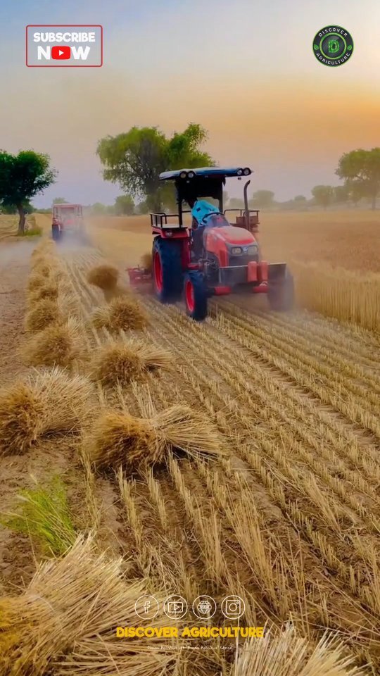 discoveragriculture 게시물 이미지: Introducing the remarkable Reaper Binder...