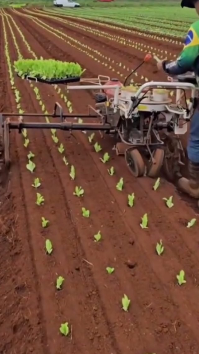 discoveragriculture 게시물 이미지: Vegetable Planting Machine #viralpost