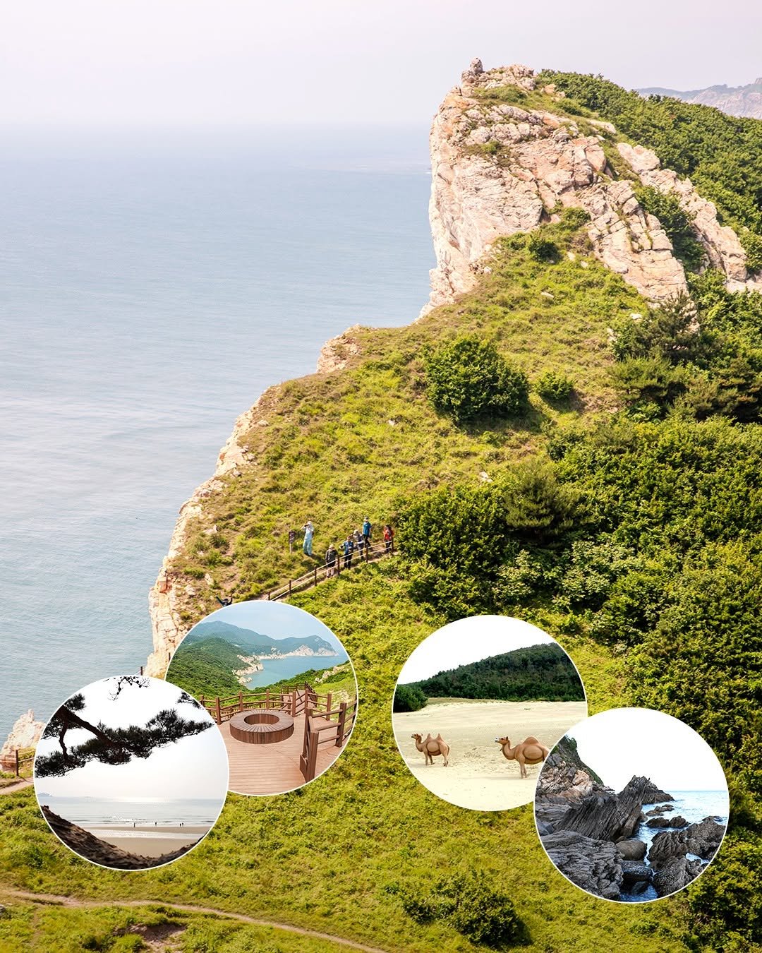 discoverincheon.en 게시물 이미지: ⛰️ Looking for the perfect 1 Night, 2 Days...