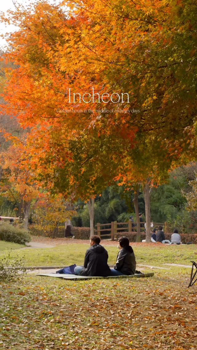 discoverincheon 게시물 이미지: 가을이 스며든…🍂
 햇살은 부드럽고, 바람은 살짝 차가워서 그저 걷기만 해도 마음이...