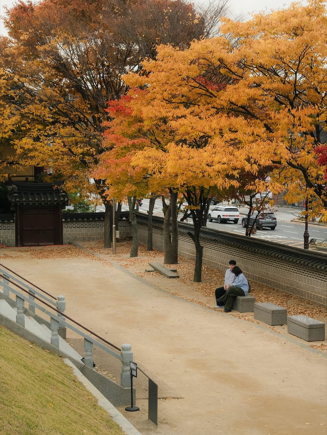 Photo shared by 김롱 on November 15, 2025 tagging @discoverincheon. May be an image of maple leaves, park and text.