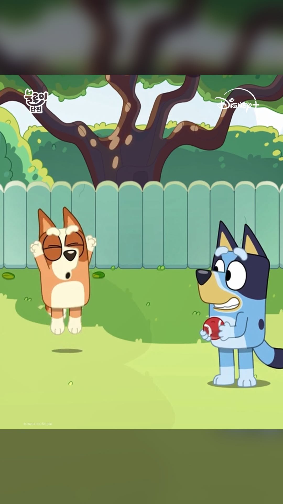 disneypluskr 게시물 이미지: ⠀
음악 소리가 들리면...?
⠀
크리켓 치다 말고,
망설임 없이...