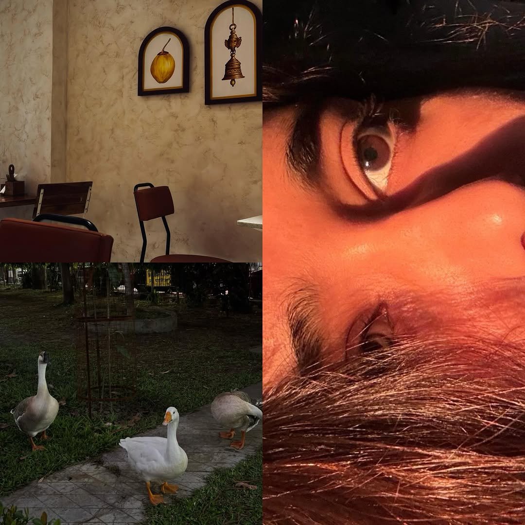 divyyaaaaaa_ 게시물 이미지: recent, i guess