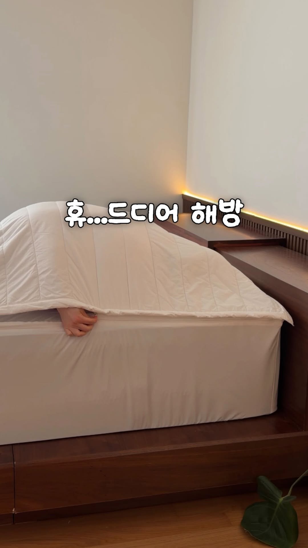 diy_salrim 게시물 이미지: 여름 공포😱

#공구오픈 
진심 여름 오기 시작하면 
침구 빨래부터...