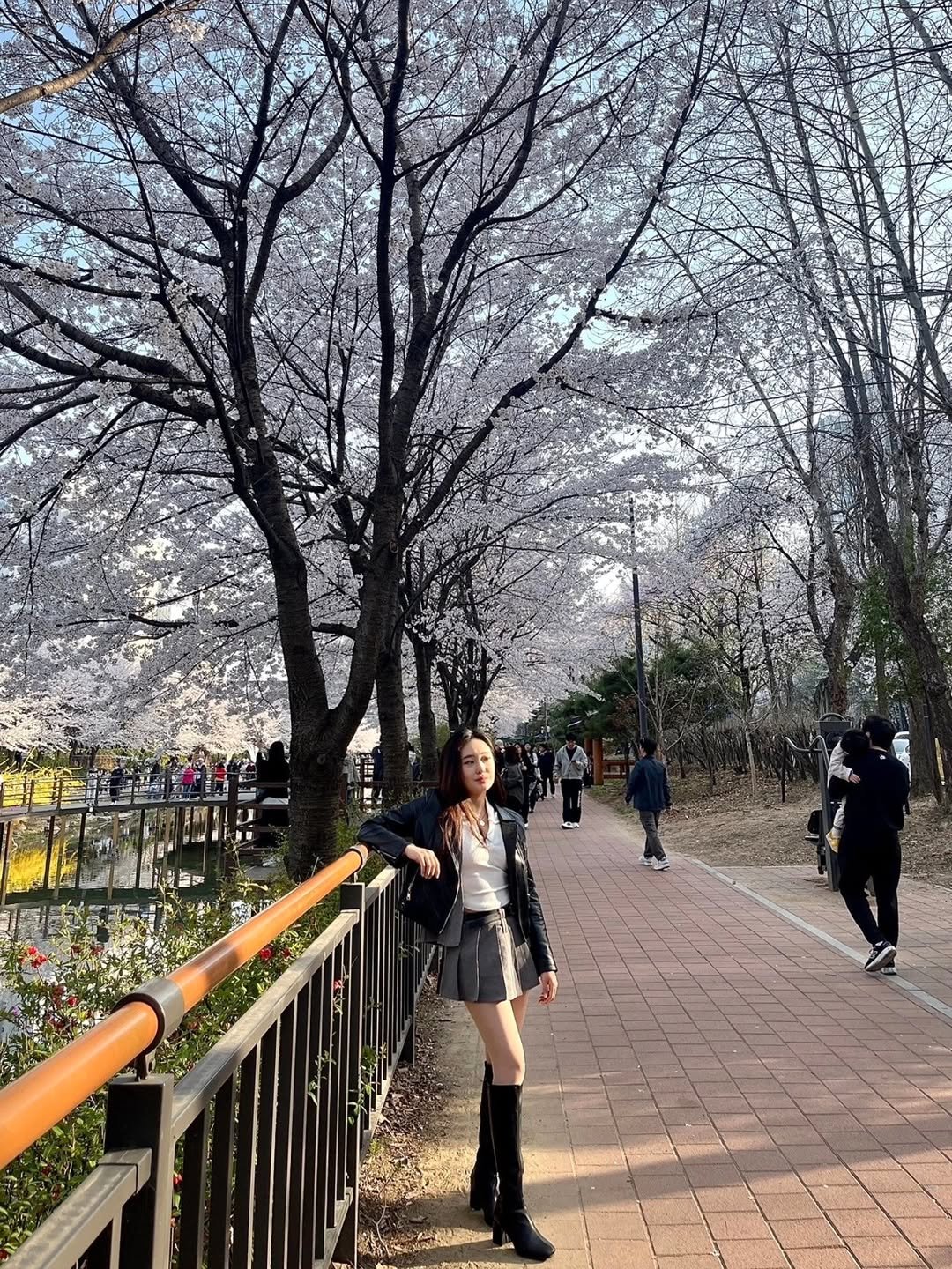 Photo by DJ Uni 최유정 on April 12, 2026. May be an image of stone-fruit tree and text.