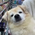 yonee_king 프로필 사진