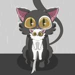 conanandsimon 프로필 사진