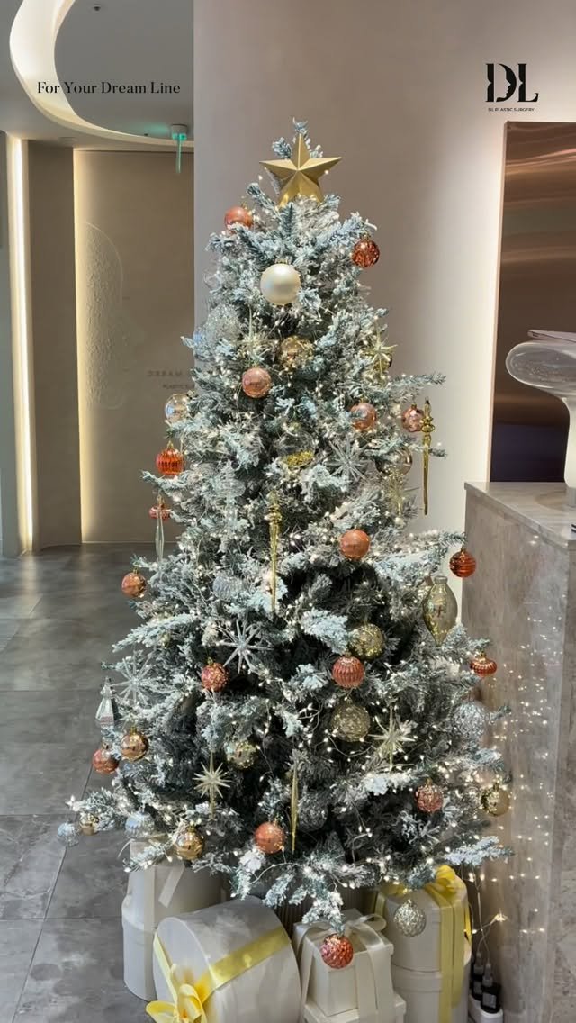 dl_plastic_official 게시물 이미지: 디엘에도 크리스마스가 찾아와 머물고 있습니다🎄

차분하게 빛나는 연말의 순간,
남은...