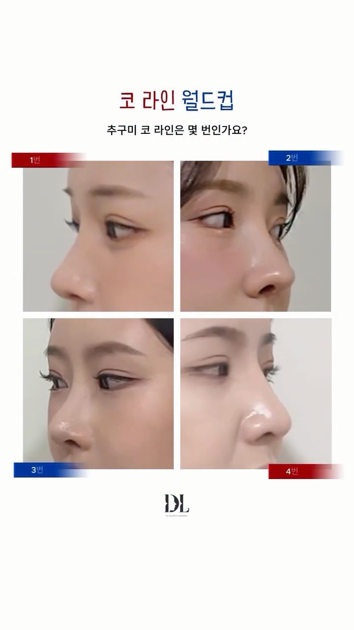 dl_plastic_official 게시물 이미지: 코 라인 월드컵🏆 당신의 추구미 코 라인은 몇 번 인가요? 순서대로 댓글...