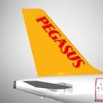 pegasusairlines_en 프로필 사진