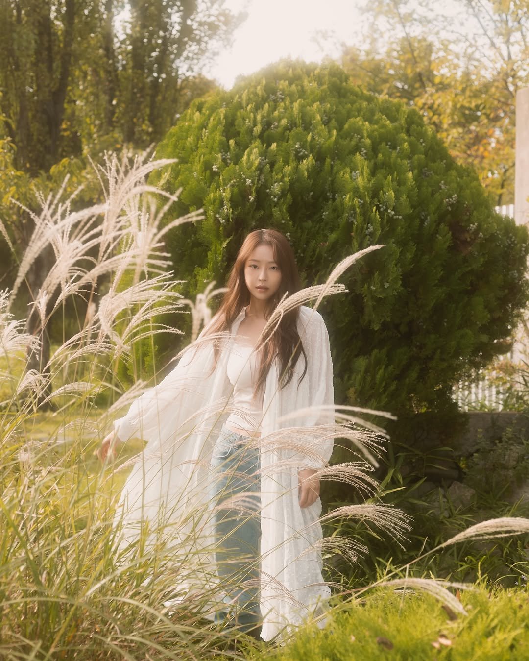 Photo shared by 홍 은 Hong eun on October 17, 2025 tagging @mare_hiemis. May be an image of white lily, grass and text.