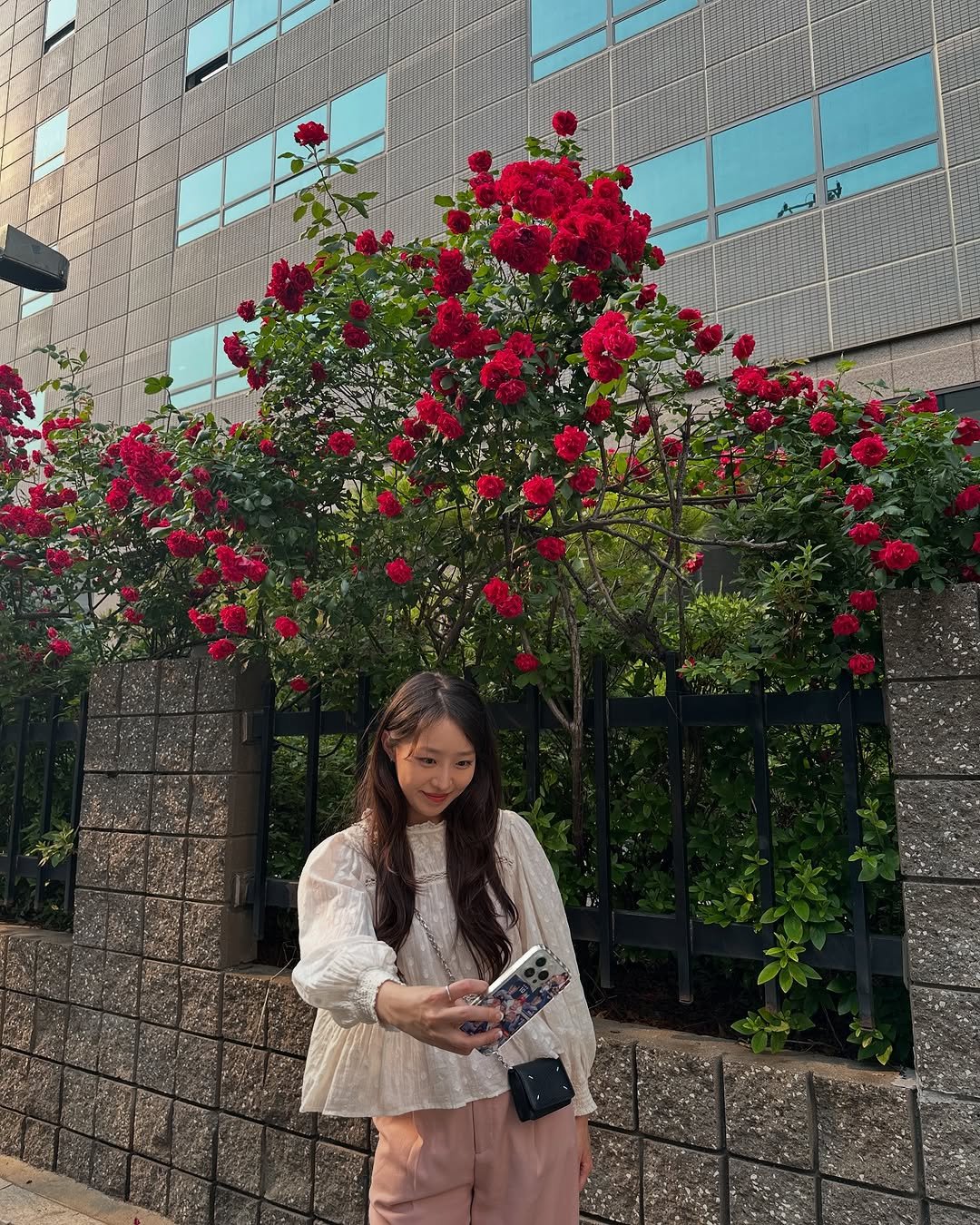 Photo by 홍 은 Hong eun on May 27, 2025. May be an image of baby's-breath and rose.