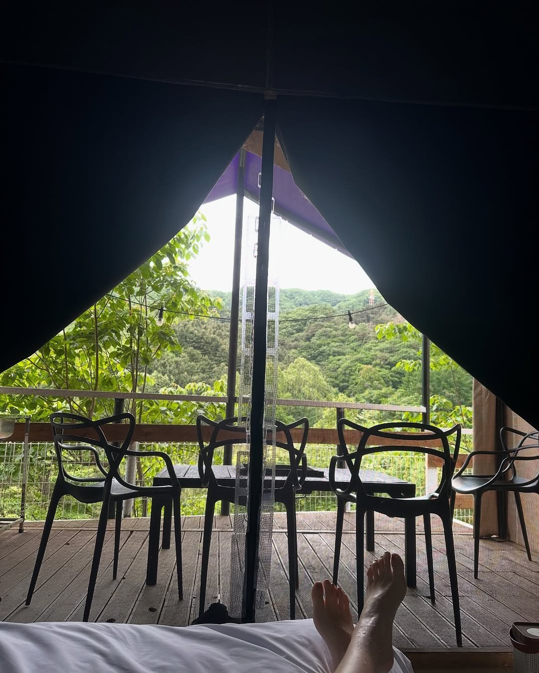Photo by 홍 은 Hong eun on May 27, 2025. May be an image of campsite, mosquito net, bed and hammock.