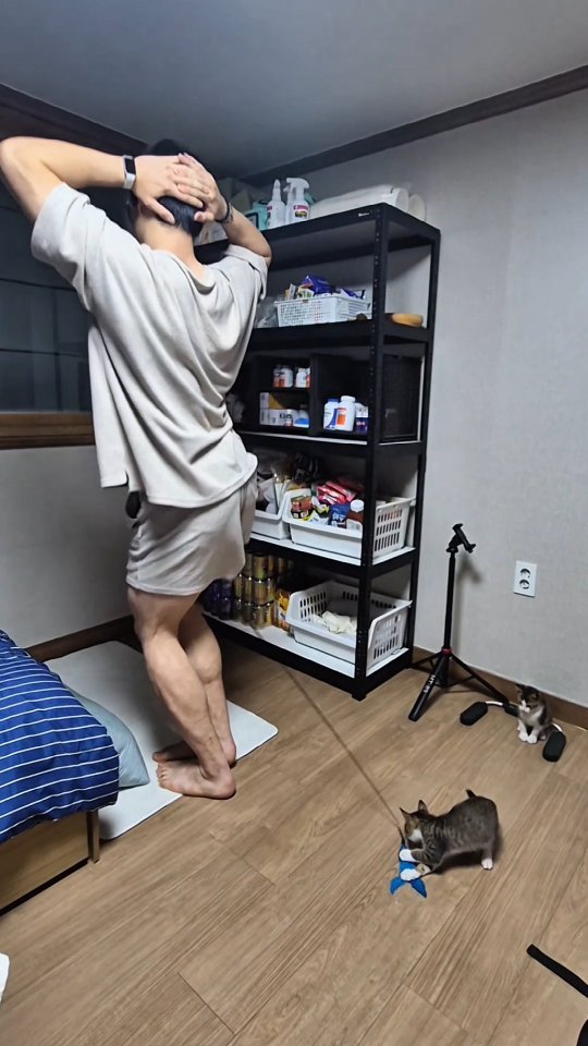 dobeyo_ 게시물 이미지: 평생 놀아줄게

#퐁귀 #골반이안멈추는병