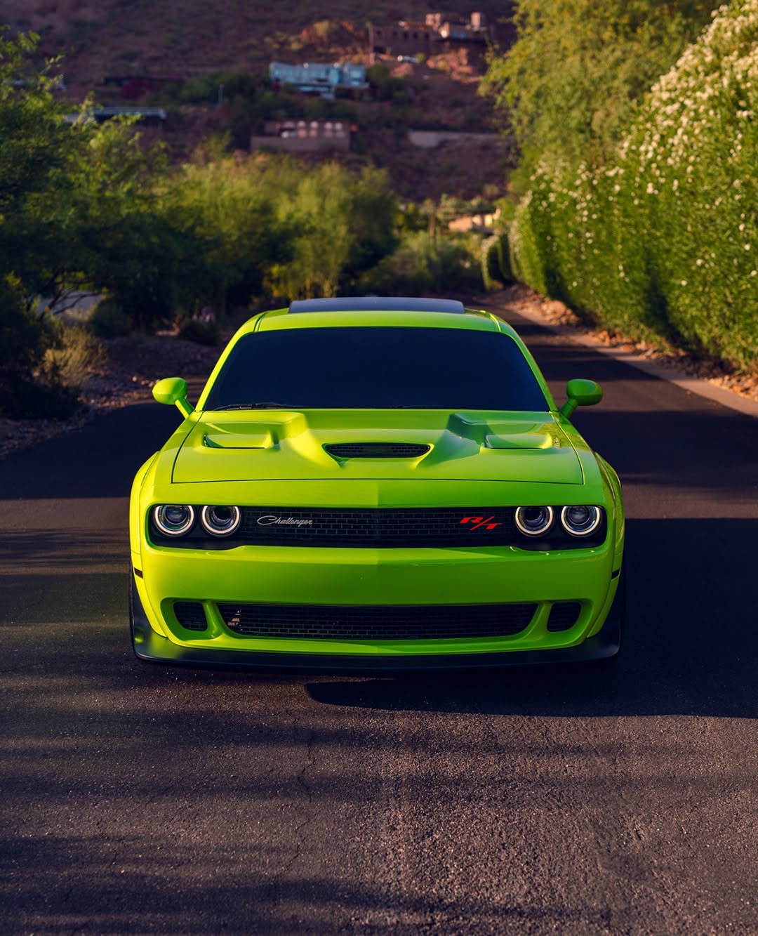 dodgeofficial 게시물 이미지: Good luck blending in.

#ThatsMyDodge

📸: @sublimewb392