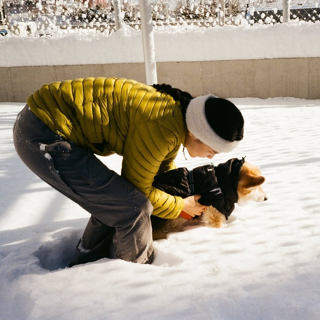 Photo by 윤승아 on January 23, 2026. May be an image of corgi, Norwich terrier, Pekinese, snowball, snowsuit, arctic, snow and text.
