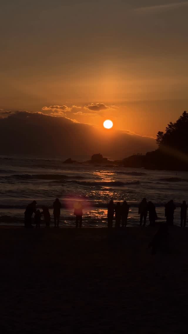 doflwl 게시물 이미지: 2026년 1월 1일, 모두 모두 따뜻하고 건강한 한해 되세요 💚