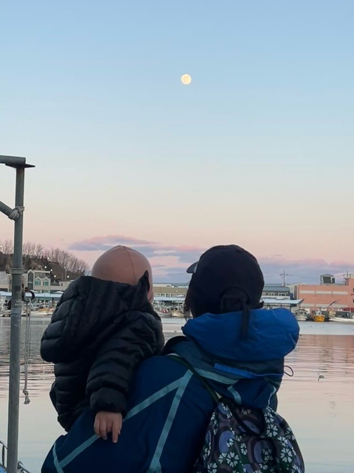 doflwl 게시물 이미지: 새해의 기억들 🤍