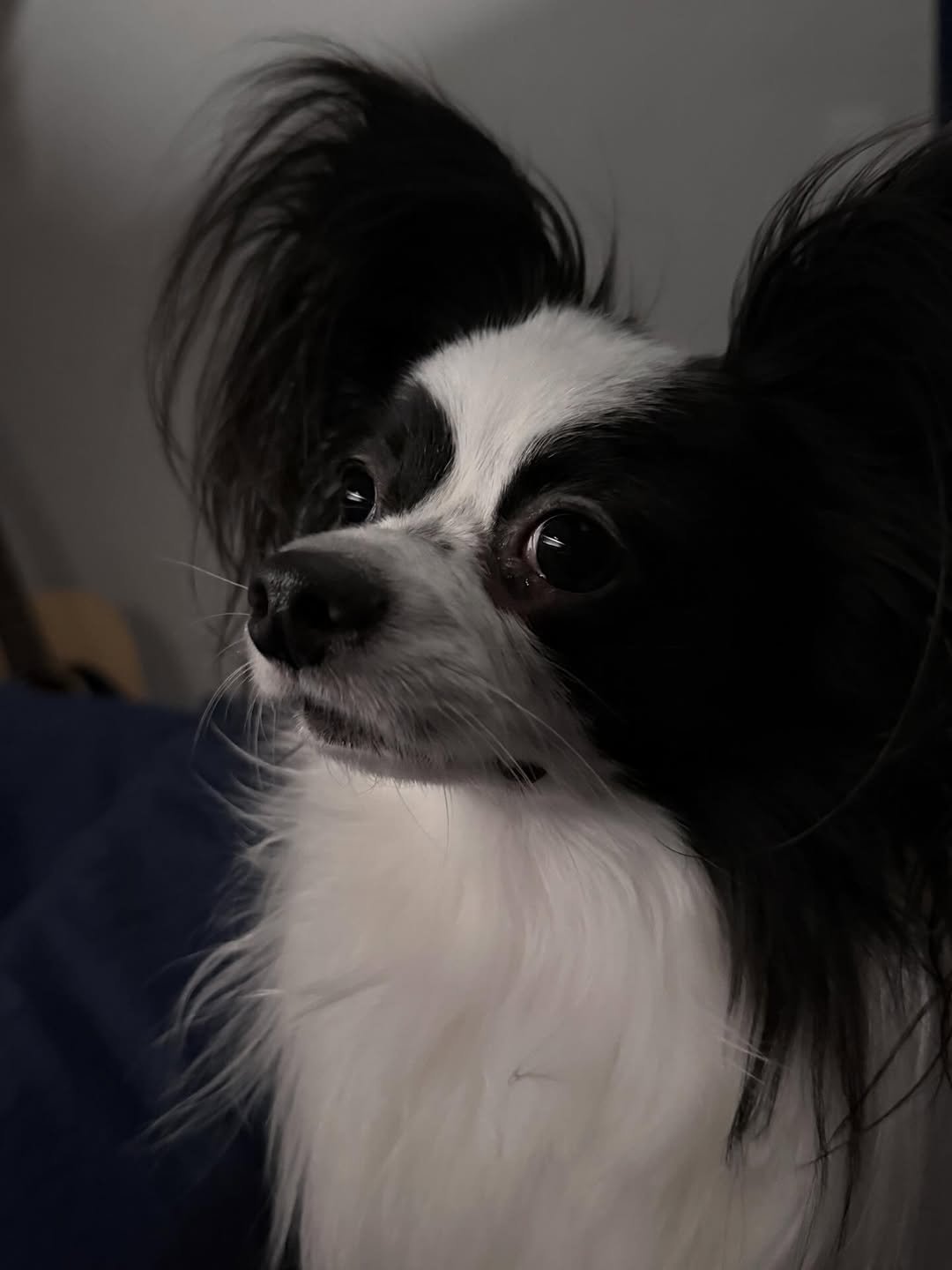 Photo by 레오 on March 05, 2026. May be an image of text.