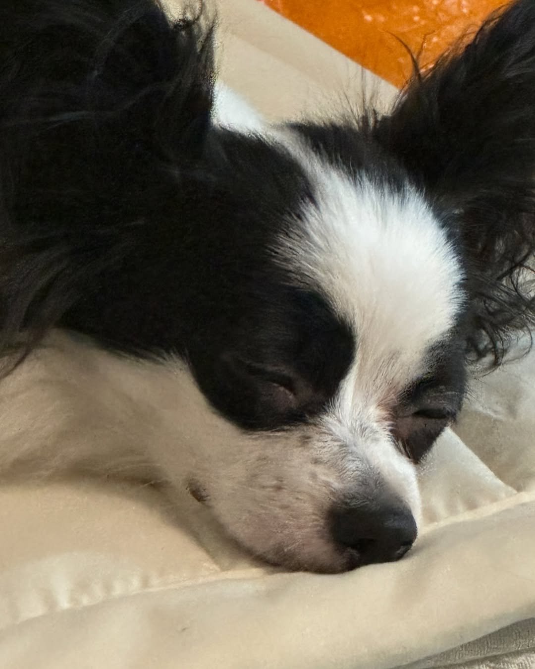 Photo by 레오 on September 18, 2024.