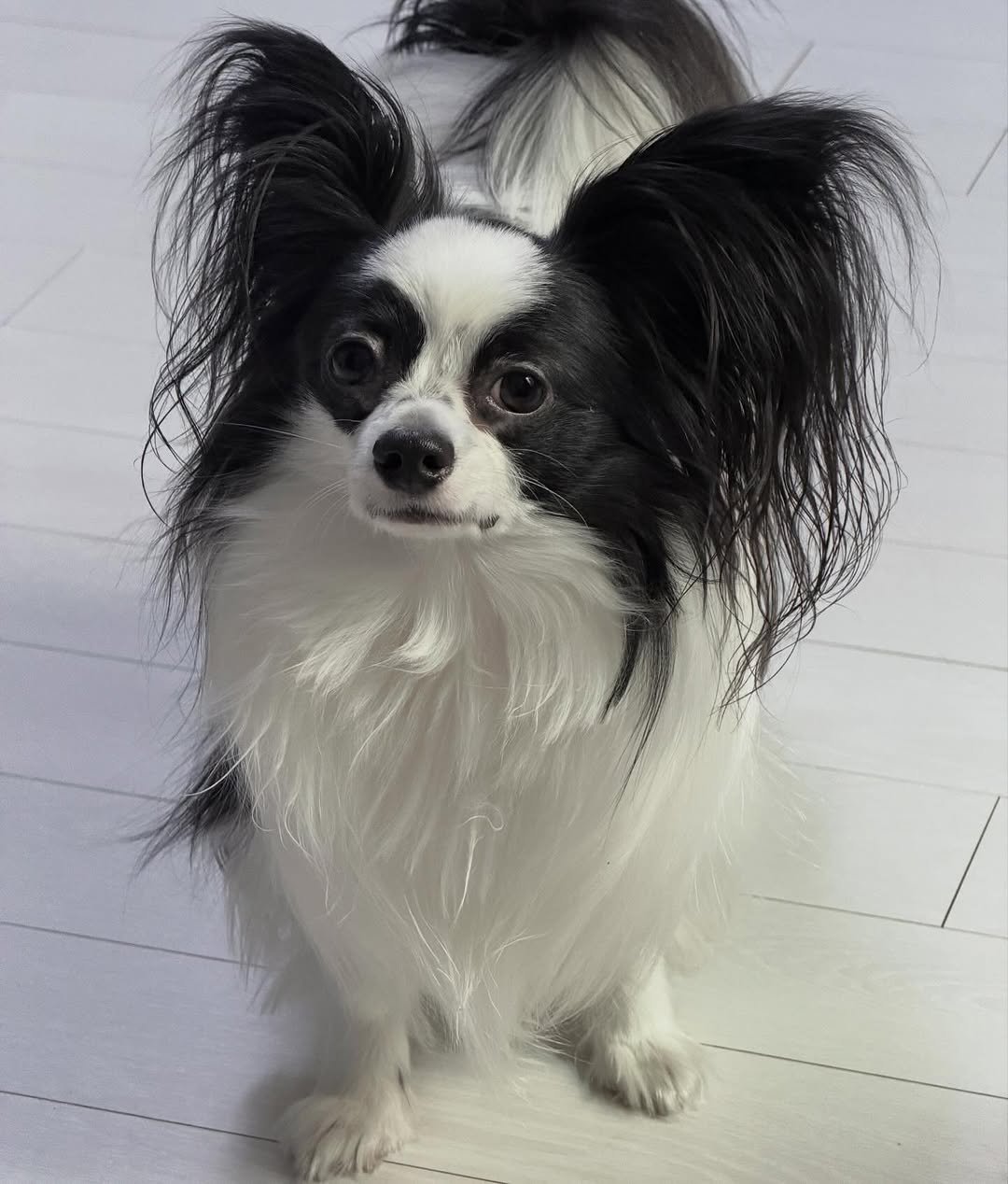 Photo by 레오 on March 07, 2026. May be an image of text.