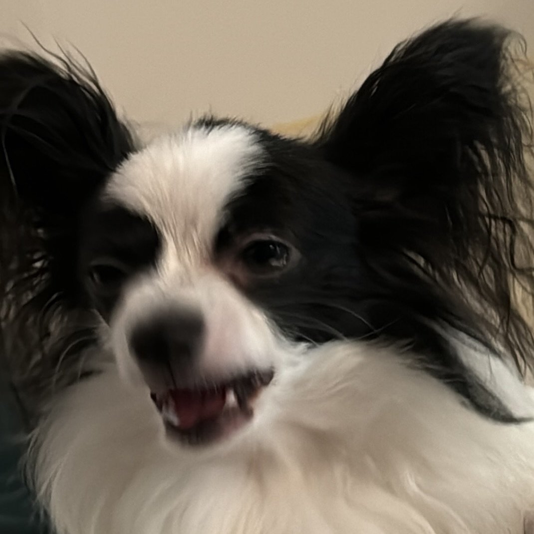 Photo by 레오 on September 18, 2024.