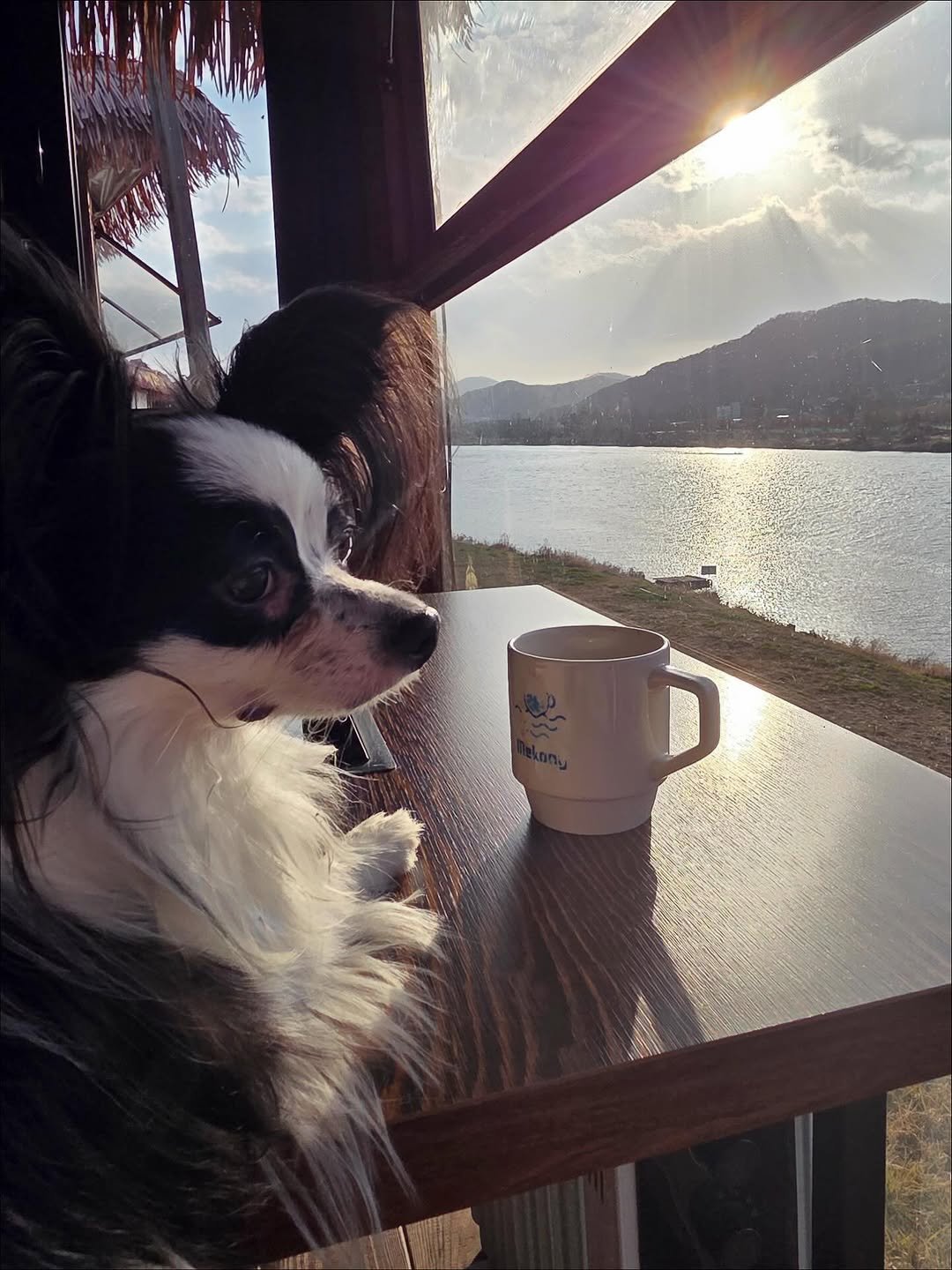 Photo by 레오 on November 09, 2025.