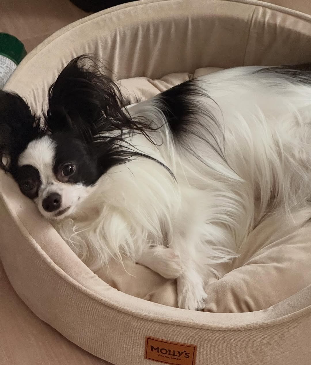 Photo by 레오 on October 27, 2025.