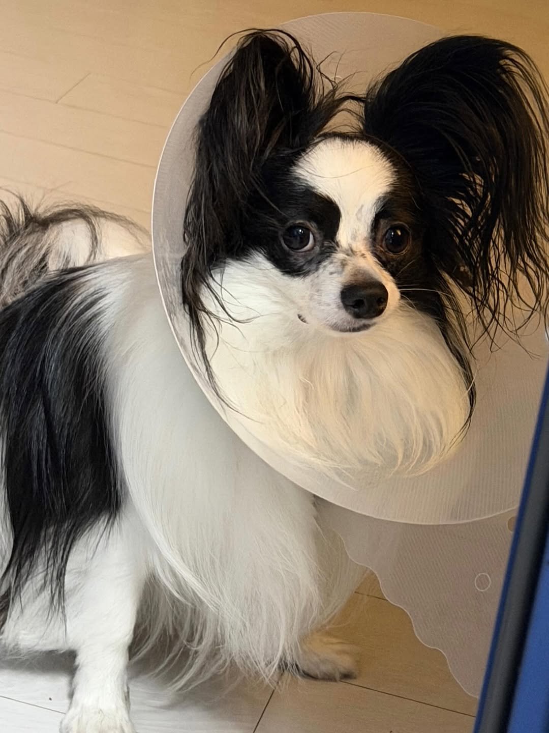 Photo by 레오 on October 12, 2025.