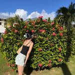 doit_money 인스타그램 프로필 사진