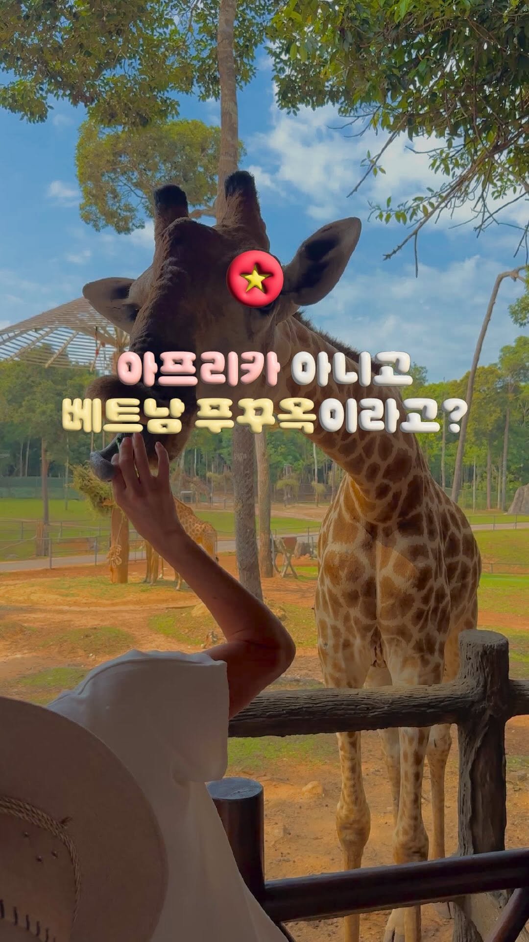 doitdhae 게시물 이미지: 여기 아프리카 아니고 베트남 푸꾸옥이에요 🦒💛

아시아 최대 규모의 사파리가...