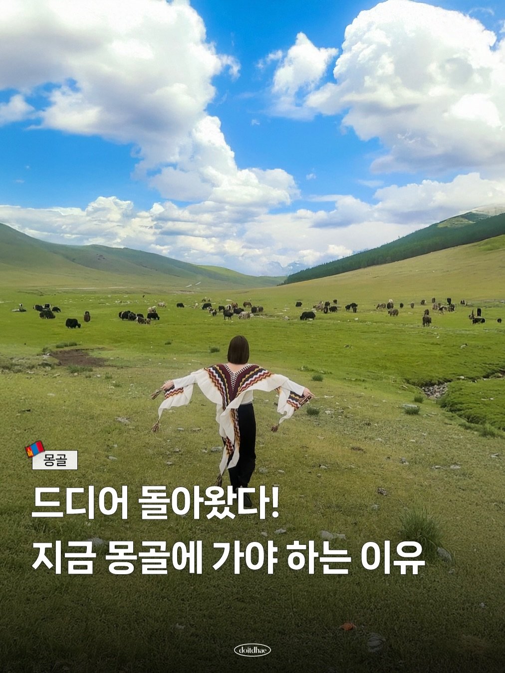 doitdhae 게시물 이미지: [마켓 종료] 댓글에 ❛몽골❜ 남기면 여행 특가 링크 바로 보내드려요 🐪
@올해는...