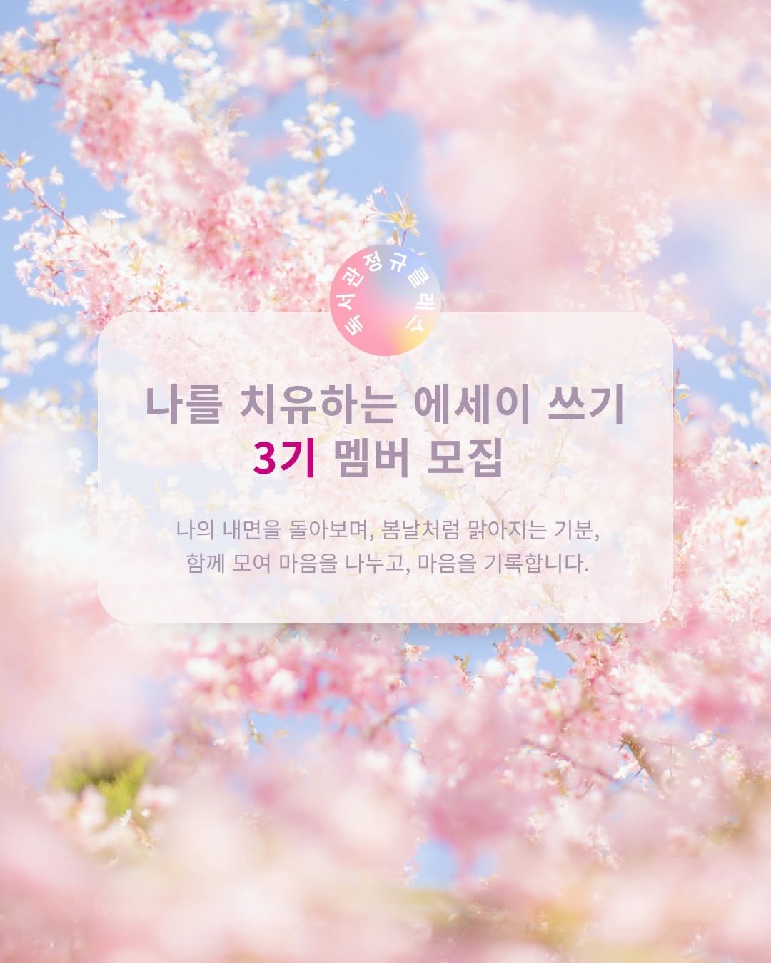Photo shared by 독서관 on February 20, 2026 tagging @haruka_jiji81. May be an image of text that says '나를 치유하는 에세이 쓰기 3기 멤버 모집 나의 내면을 돌아보며, 봄날처럼 맑아지는 기분 함께 모여 마음을 나누고, 마음을 기록합니다.'.
