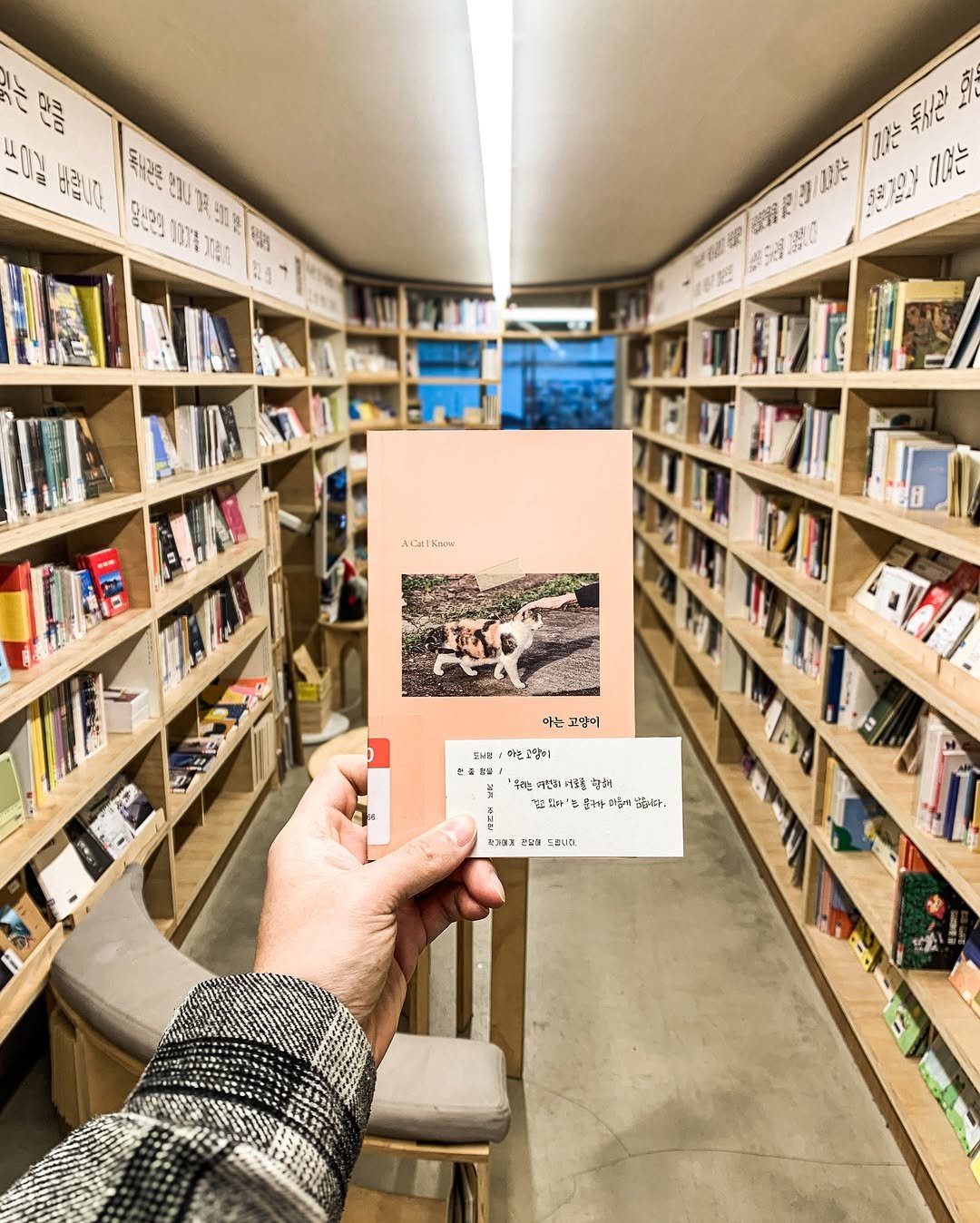 Photo shared by 독서관 on December 12, 2025 tagging @daylyric_. May be an image of book and text.