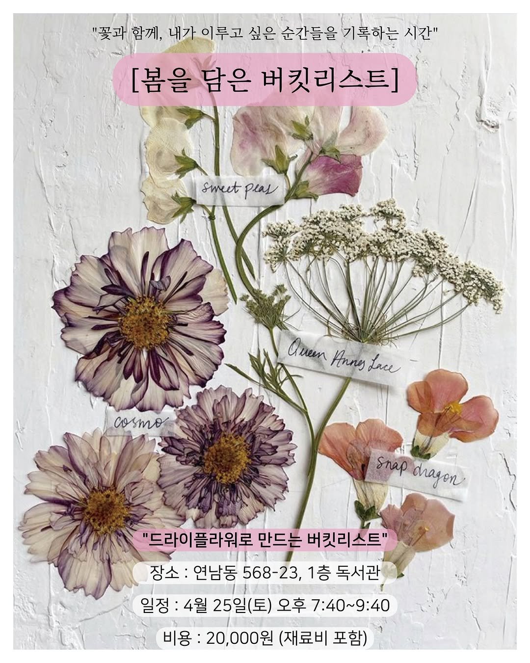 Photo shared by 독서관 on April 10, 2026 tagging @haruka_jiji81. May be an image of poster, baby's-breath, scorpion grass, globe amaranth, prairie gentian and text that says '"꽃과함께, "꽃과함기,네가이부고싶은순간들을기록하는 함께, "꽃과 이루고 싶은 순간들을기록하는 순간들을 기록하는 시간" [봄을 담은 버킷리스트] smet smutpias peas Queen Anny Lace cosmo snap snapdhayon dhagon "드라이플라워로 만드는 버킷리스트" 장소: 연남동 568-23, 1층 독서관 일정 4월 25일(토) 오후 7:40~9:40 비용: 20,000원 (재료비 재료비포함) 포함)'.