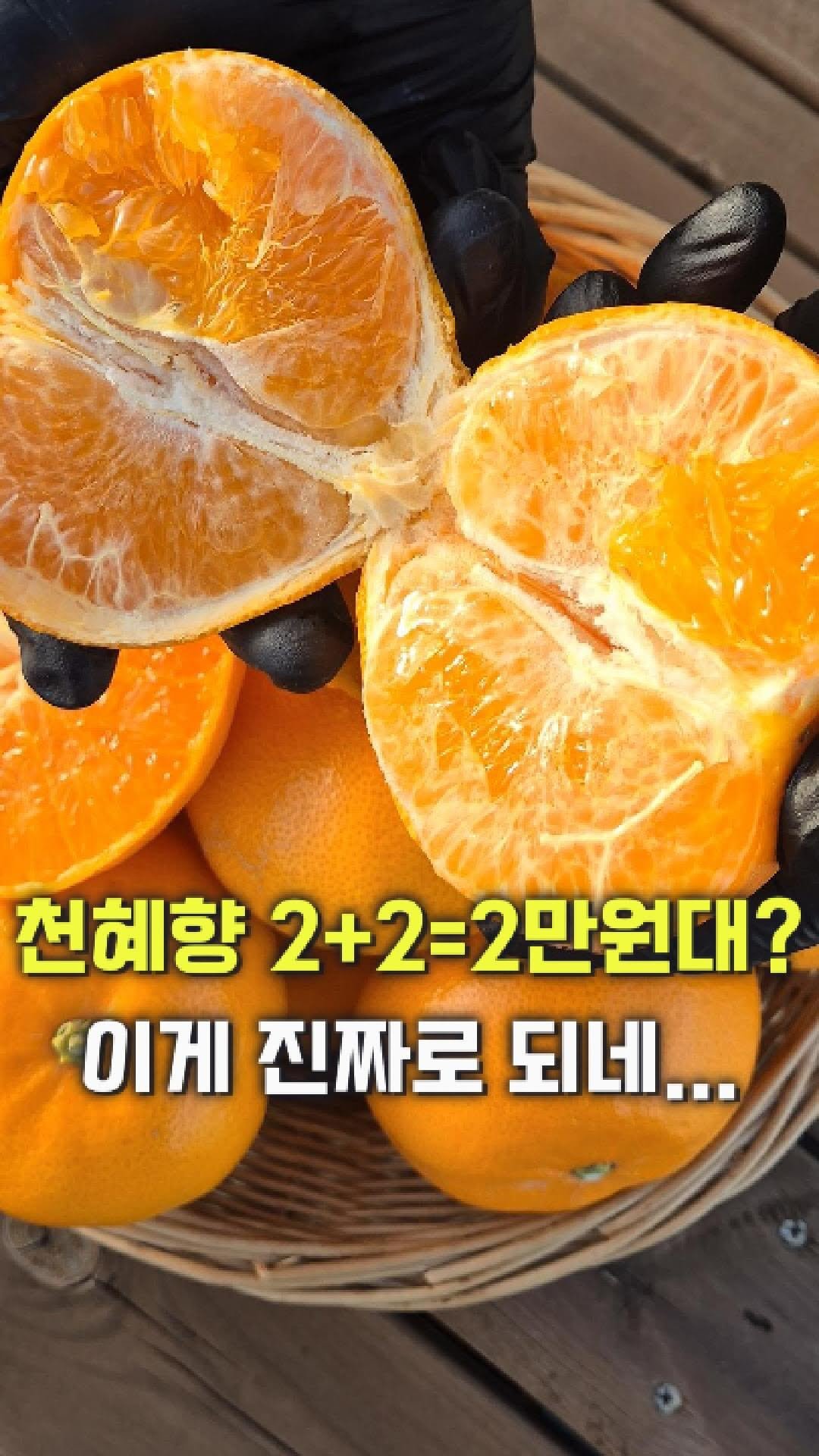 dolfarmer_official 게시물 이미지: 돌쇠가 만감류 중에서 제일 좋아하는 천혜향
지금 2kg + 2kg 추가증정 이벤트...