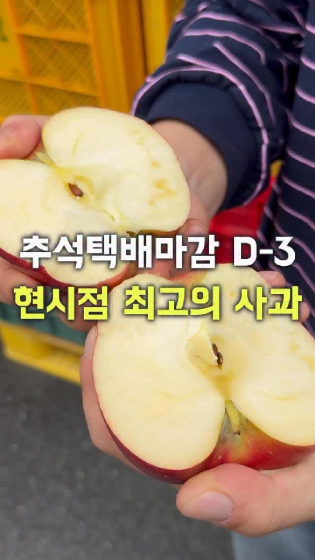 dolfarmer_official 게시물 이미지: 비싸기만 하고 맛없는 사과는 가라💨💨
가격 저렴하고 맛있고 저장성까지 좋은
”아리수...