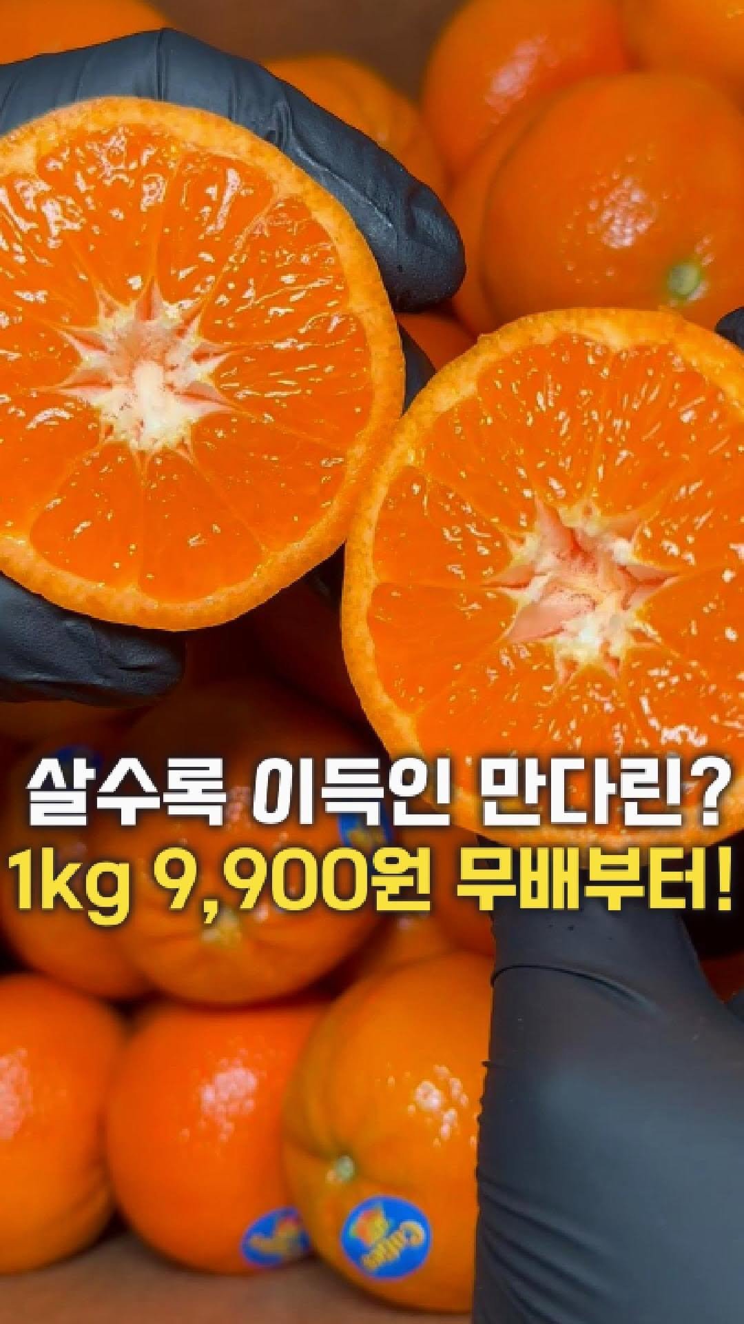 dolfarmer_official 게시물 이미지: 만다린 1kg에 9900원 무료배송?!
이게 끝이 아닙니다!

지금 돌쇠네에서...