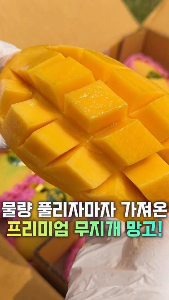 dolfarmer_official 게시물 이미지: 작년에도 난리였는데,
이번에도 품.절. 예상 해봅니다!

🌈지금 제일 잘 나가는 이...